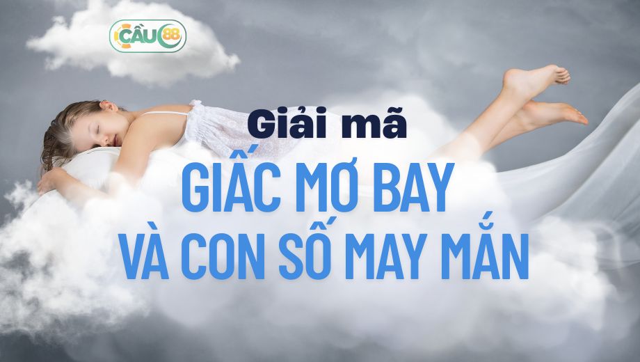 giải mã giấc mơ bay và những con số may mắn giải mã giấc mơ bay và những con số may mắn